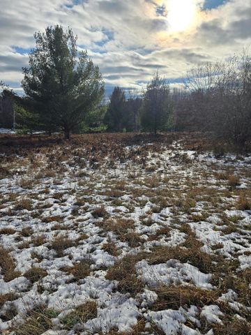 Lot 895 Lake Miramichi Drive, Evart, MI 49631