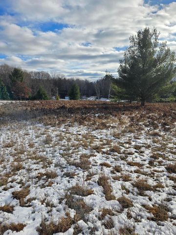 Lot 895 Lake Miramichi Drive, Evart, MI 49631