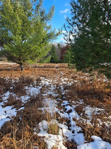 Lot 895 Lake Miramichi Drive, Evart, MI 49631