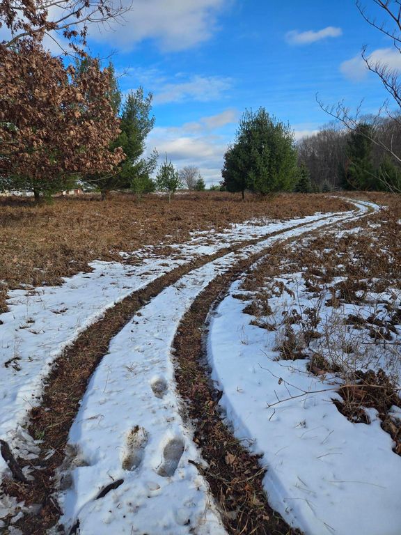 Lot 895 Lake Miramichi Drive, Evart, MI 49631