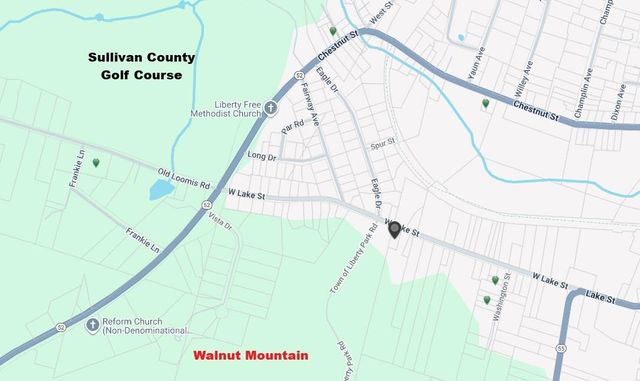 316 W Lake Street, Liberty, NY 12754