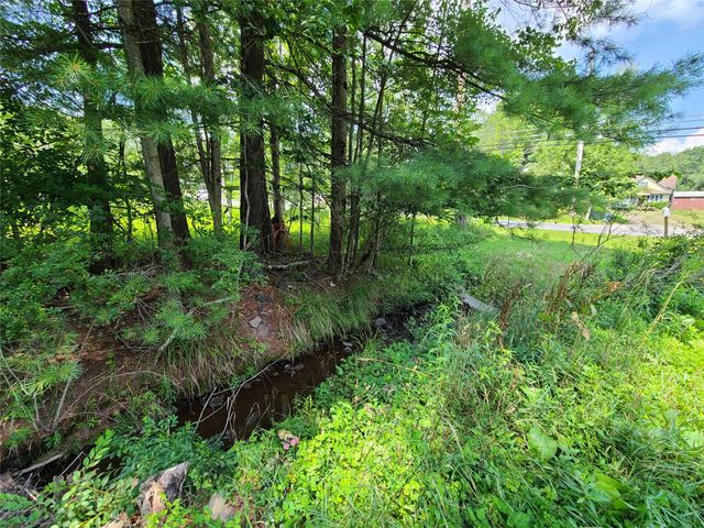 316 W Lake Street, Liberty, NY 12754