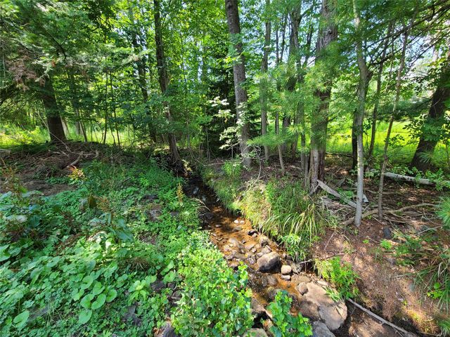 316 W Lake Street, Liberty, NY 12754