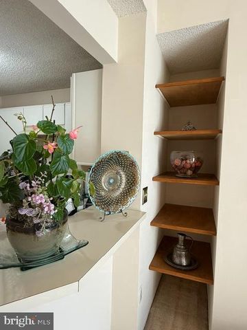 11703-B SUMMERCHASE CIR, Reston, VA 20194