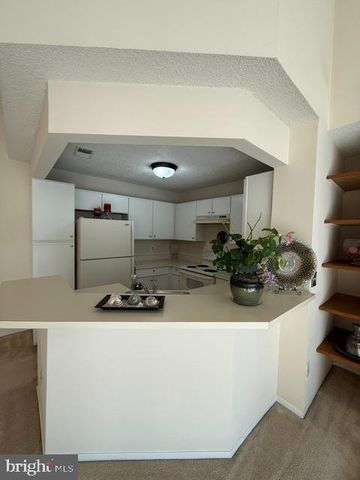 11703-B SUMMERCHASE CIR, Reston, VA 20194