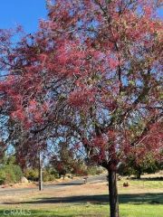 3898 Neal, Paradise, CA 95969