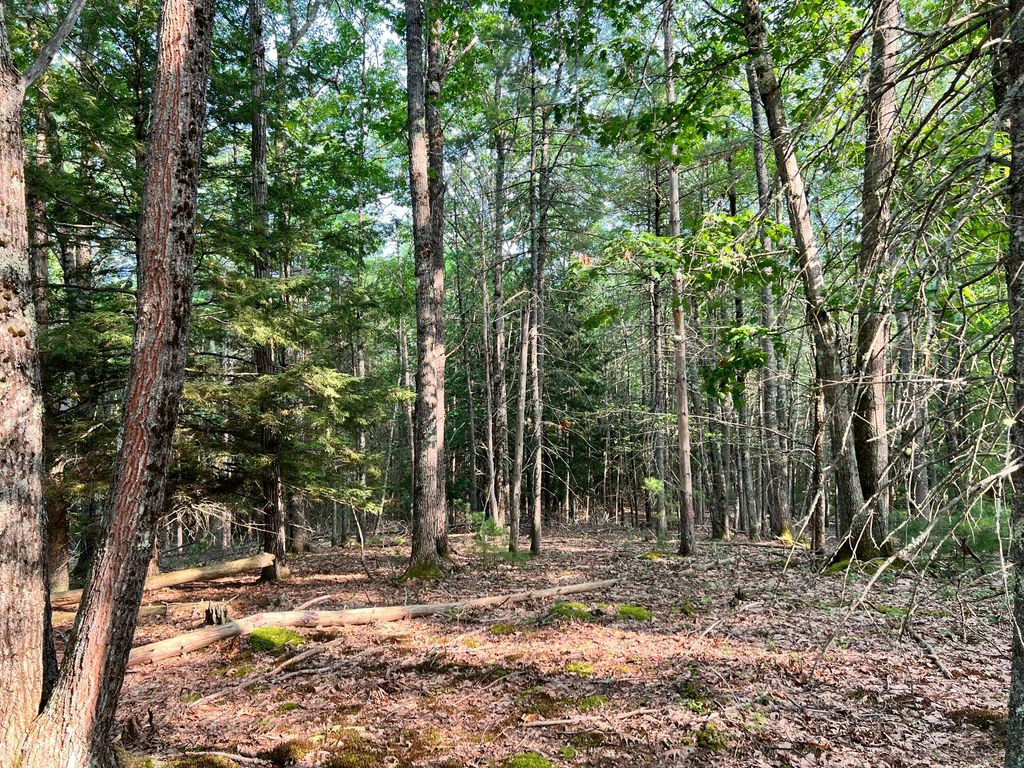 70-0 East Burrough Road, Bowdoin, ME 04287 — photo 3