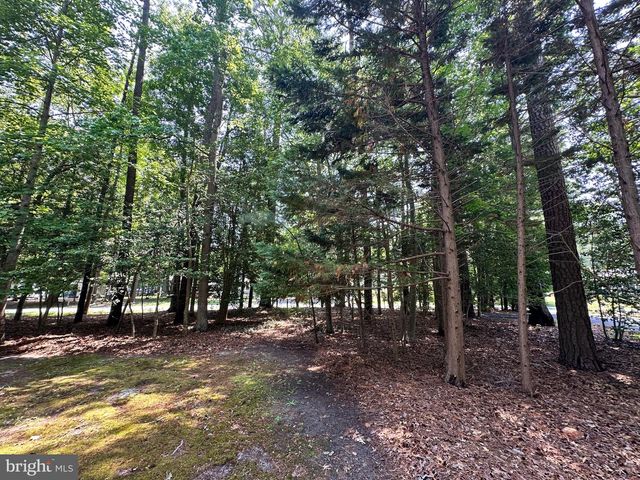 32669 CULPEPPER CT, Millsboro, DE 19966