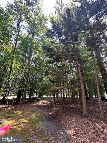 32669 CULPEPPER CT, Millsboro, DE 19966