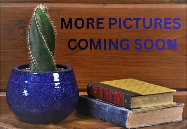 3800 Cutcane Road, Mineral Bluff, GA 30559