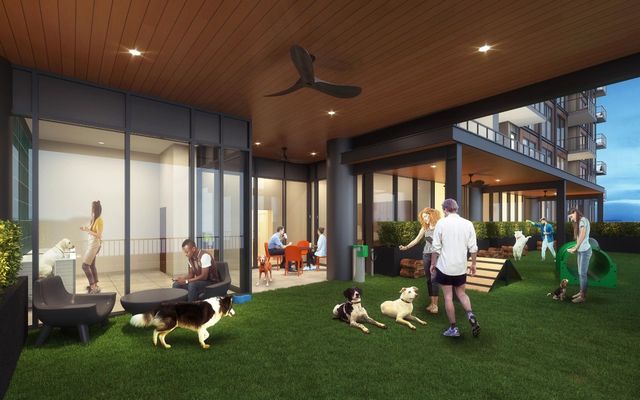 115 Morris Street 2501, Durham, NC 27701