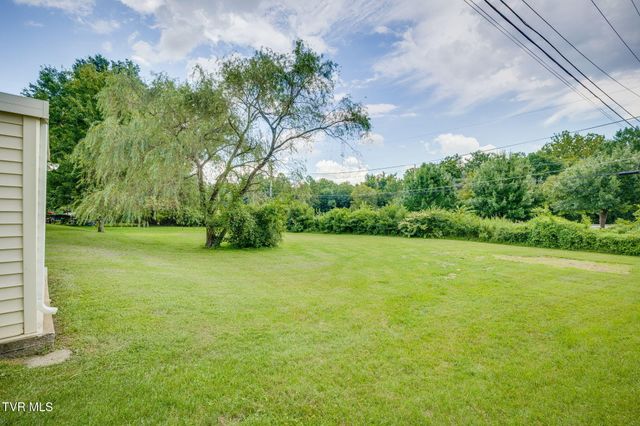 317 Sewanee Avenue -, Kingsport, TN 37660