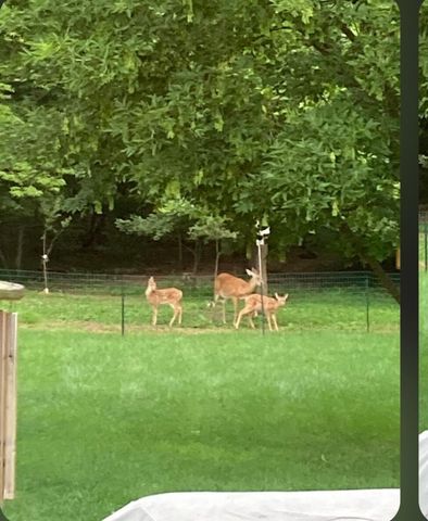 3353 Babylon Road, Allegan Twp, MI 49010