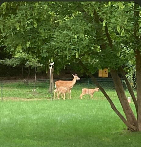 3353 Babylon Road, Allegan Twp, MI 49010