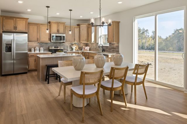 1061 Annagaire Curve, Rosemount, MN 55068