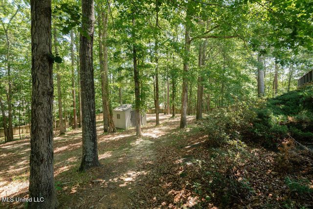 185 Magnolia Springs Drive, Florence, MS 39073