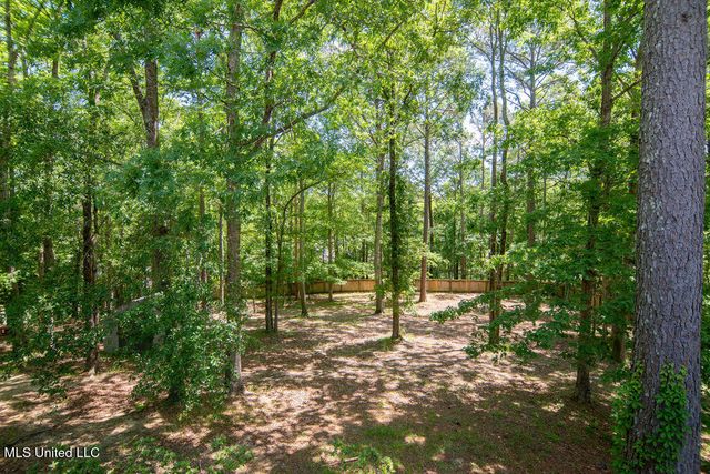 185 Magnolia Springs Drive, Florence, MS 39073