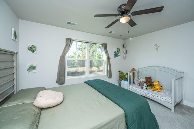 338 Picard Loop, Santee, SC 29142