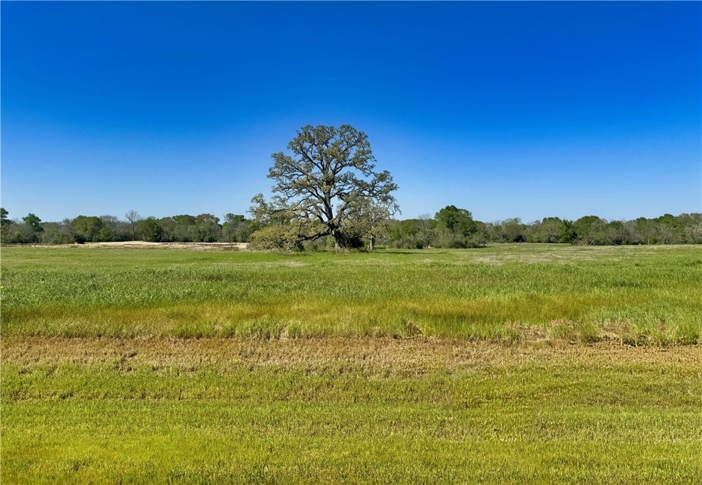 10022 Hidden Pond Drive, Iola, TX 77861 — exterior