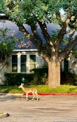 4322 Muirfield, San Antonio, TX 78229