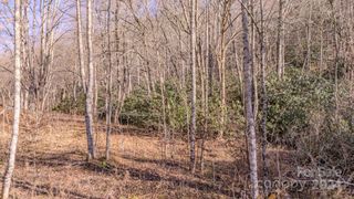 00 Culvin Creek Road, Marshall, NC 28753