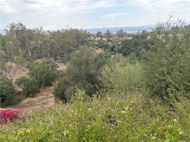 7149 Rockspring, Highland, CA 92346