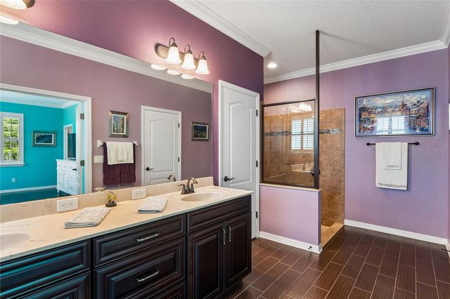 21627 PEARL CRESCENT COURT, Land O Lakes, FL 34637