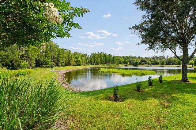 21627 PEARL CRESCENT COURT, Land O Lakes, FL 34637