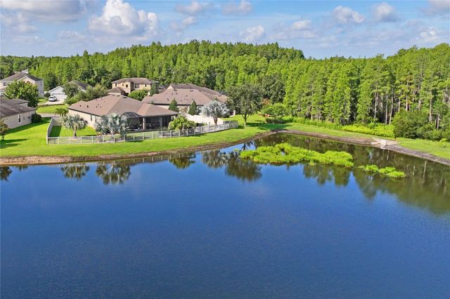 21627 PEARL CRESCENT COURT, Land O Lakes, FL 34637
