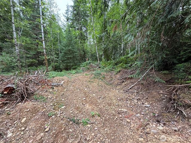 51 NE Rhody Lane, Tahuya, WA 98588