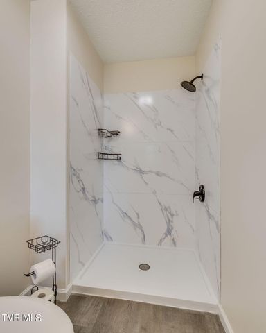 130 Valley Crest Drive, Mount Carmel, TN 37645