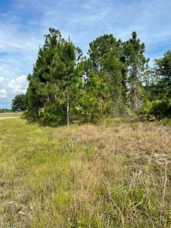 1048 Redbank AVE, LEHIGH ACRES, FL 33974 — photo 5