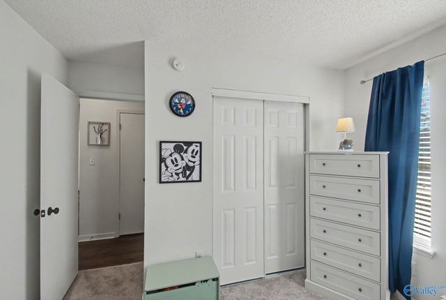 100 Willow Bluff Drive, Madison, AL 35757