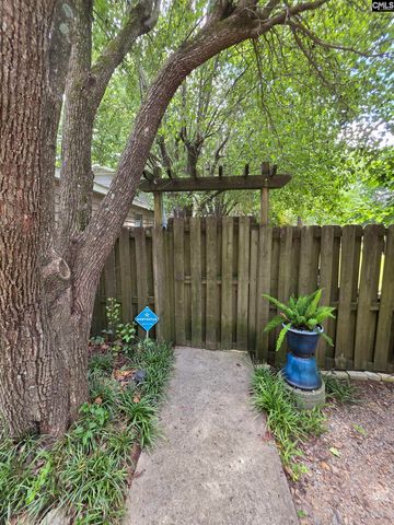 524 Lakemont Drive, Chapin, SC 29036