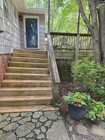 524 Lakemont Drive, Chapin, SC 29036