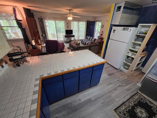 524 Lakemont Drive, Chapin, SC 29036