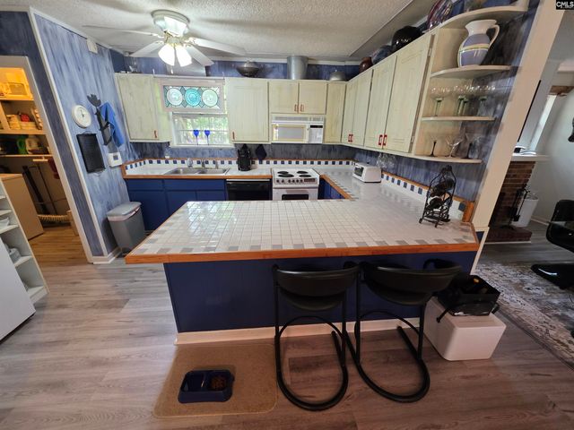 524 Lakemont Drive, Chapin, SC 29036