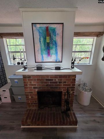 524 Lakemont Drive, Chapin, SC 29036