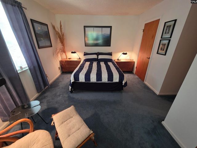 524 Lakemont Drive, Chapin, SC 29036
