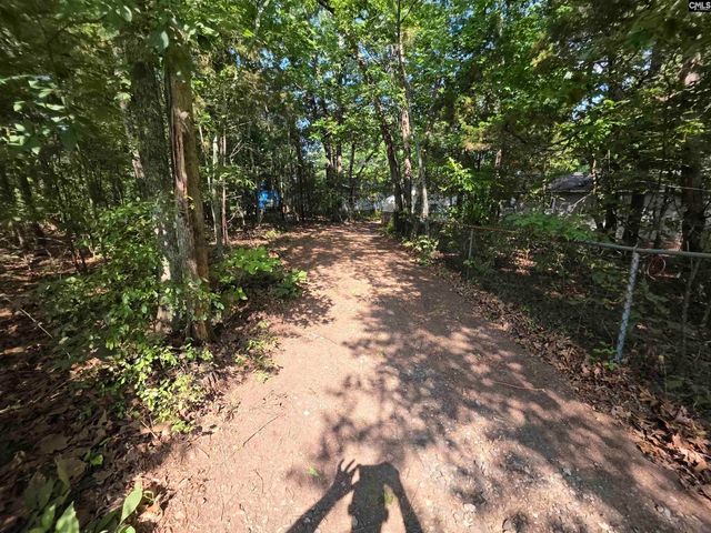 524 Lakemont Drive, Chapin, SC 29036