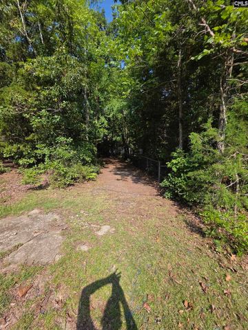 524 Lakemont Drive, Chapin, SC 29036