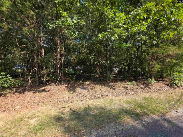 524 Lakemont Drive, Chapin, SC 29036