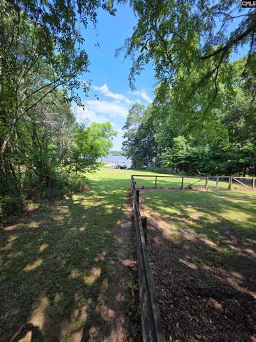 524 Lakemont Drive, Chapin, SC 29036