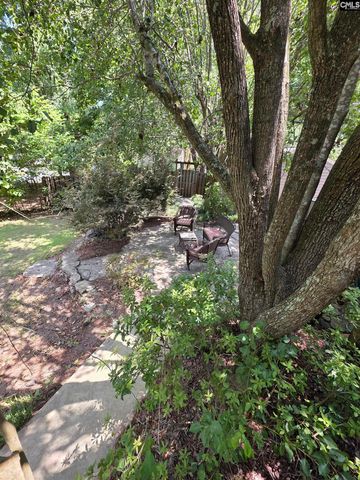 524 Lakemont Drive, Chapin, SC 29036