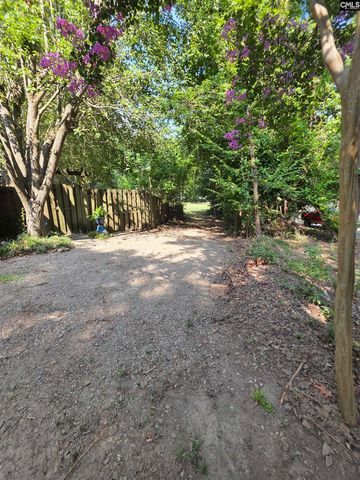 524 Lakemont Drive, Chapin, SC 29036