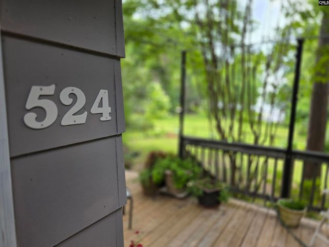 524 Lakemont Drive, Chapin, SC 29036