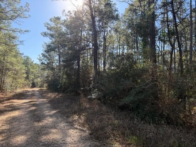 TBD Preacher Denson Road, Coldspring, TX 77331