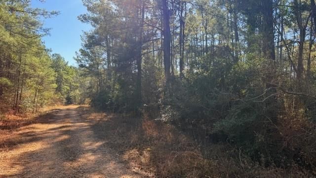 TBD Preacher Denson Road, Coldspring, TX 77331