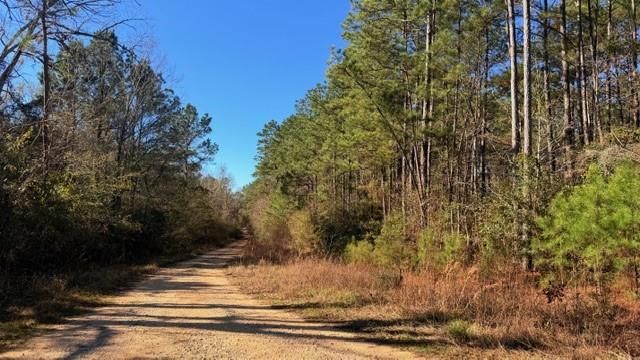 TBD Preacher Denson Road, Coldspring, TX 77331