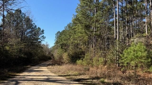 TBD Preacher Denson Road, Coldspring, TX 77331